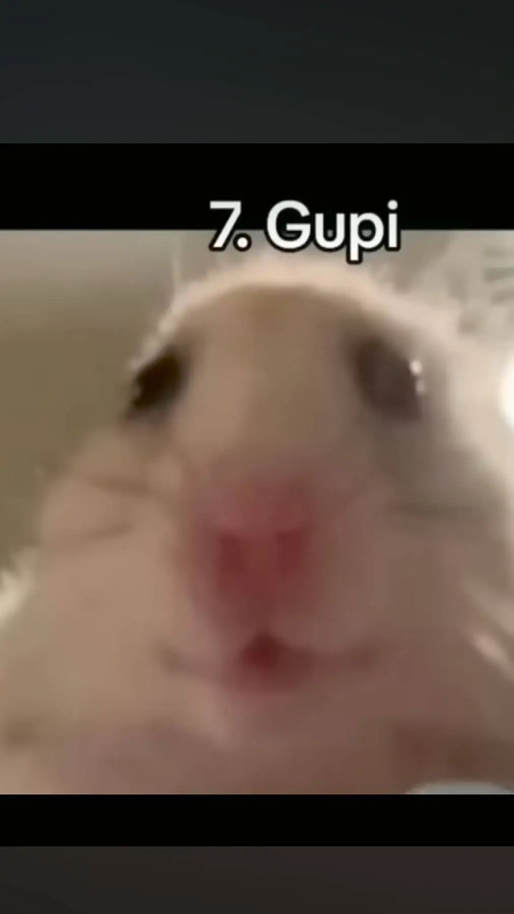 ai character: Gupi background