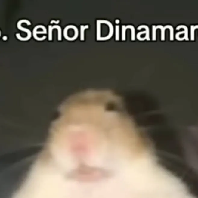 chat with ai character: Señor Dinamarca