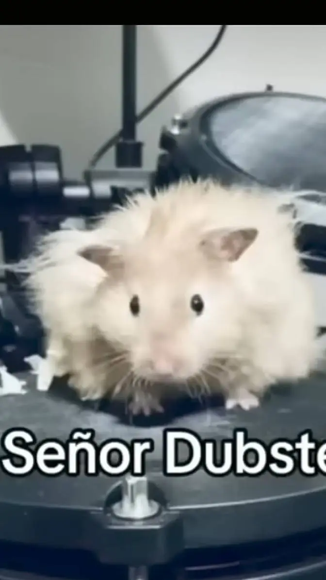 ai character: Señor Dubstep background