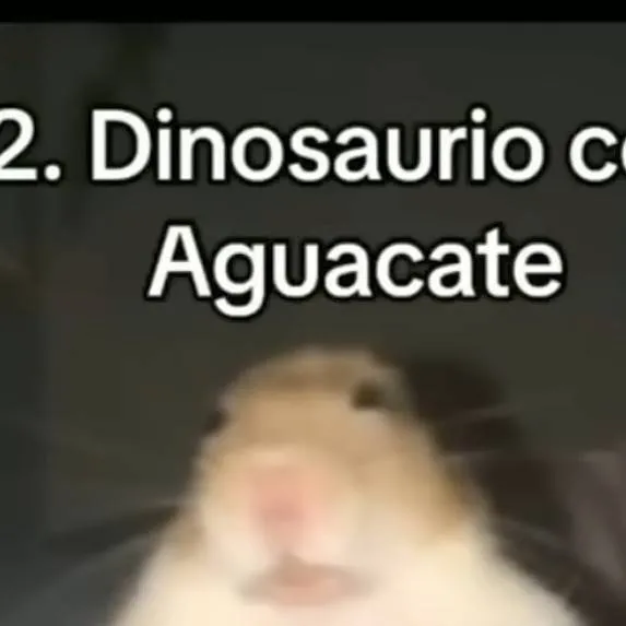 chat with ai character: dinosaurio 🥑