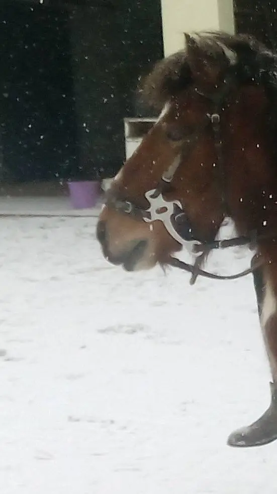 ai character: Moritz 😭 background