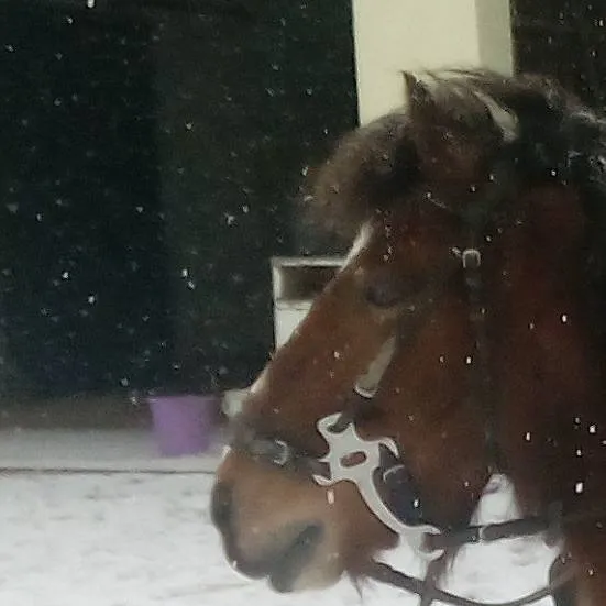 chat with ai character: Moritz 😭