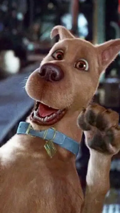 Talkie AI - Chat with SCOOBY DOO MILO 