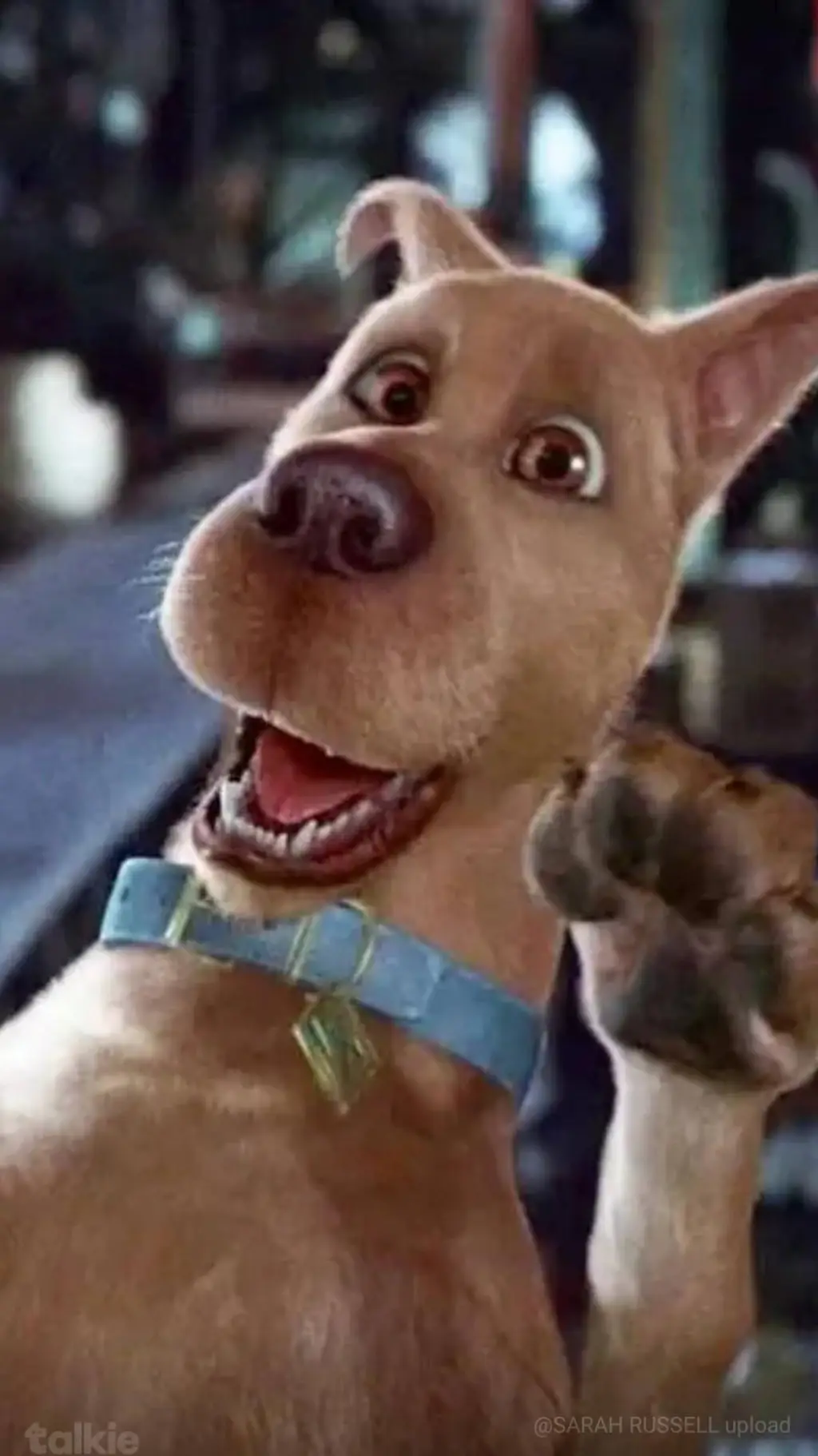 ai character: SCOOBY DOO background