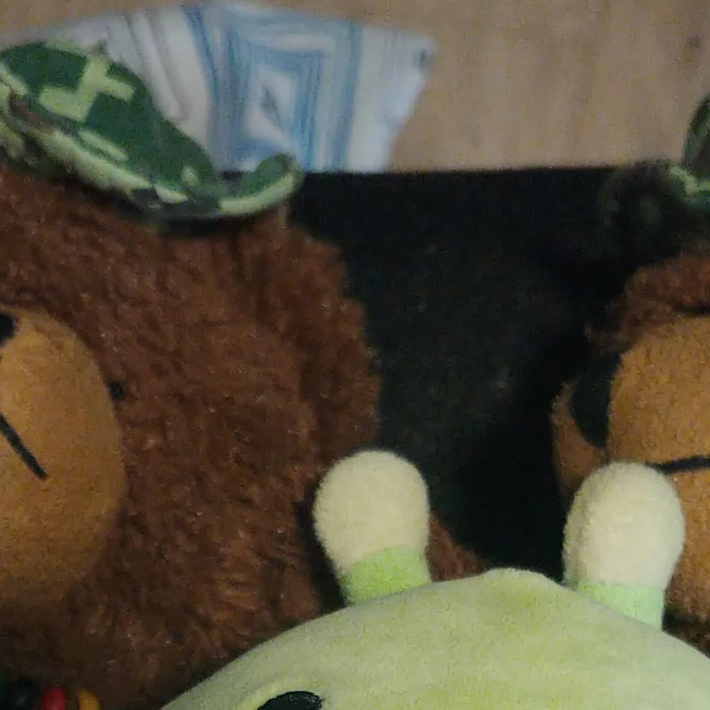 chat with ai character: Berry, brownie,ben