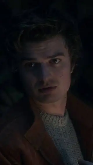 ai character: STEVE HARRINGTON  background