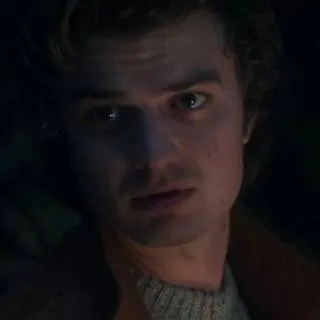 chat with ai character: STEVE HARRINGTON 