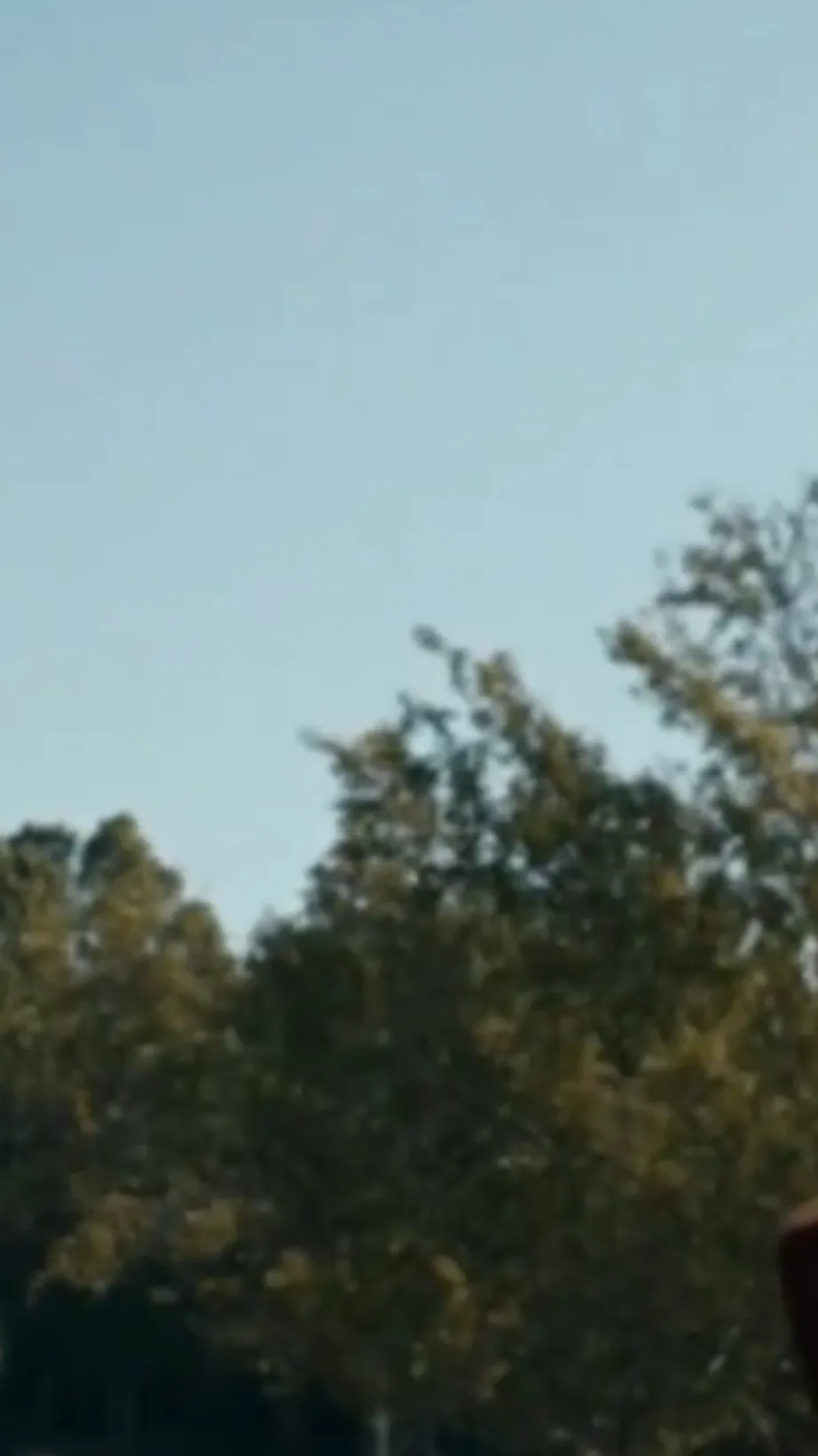 ai character: Dustin and Steve background