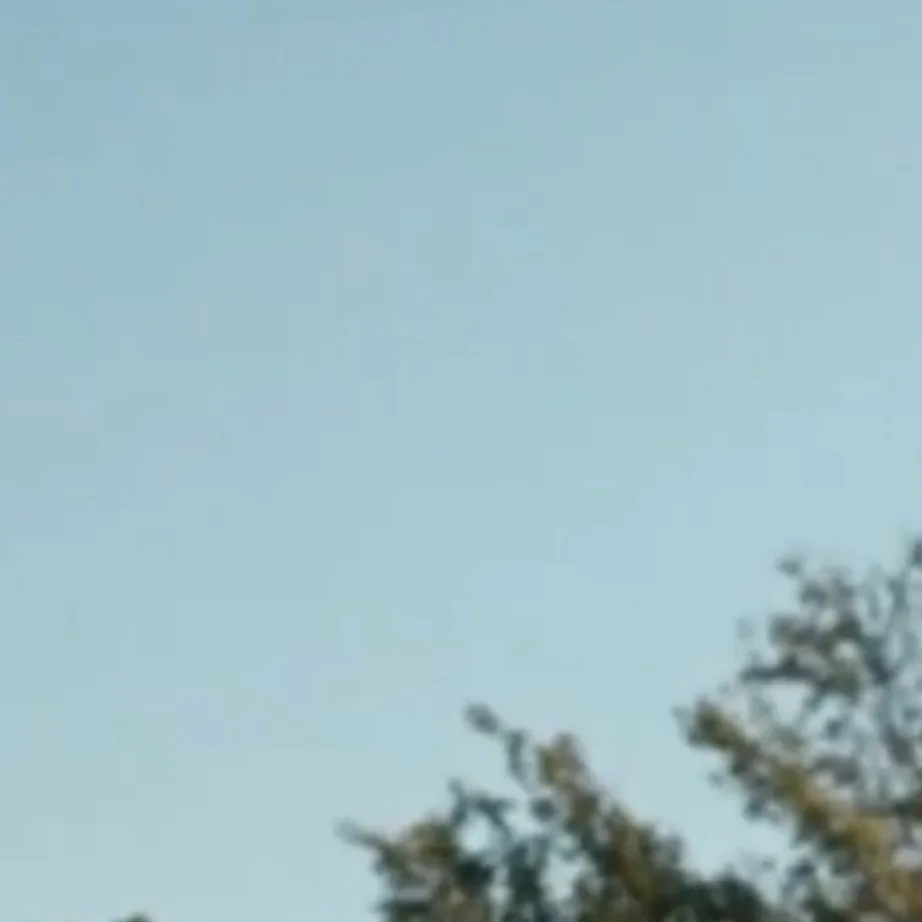 chat with ai character: Dustin and Steve