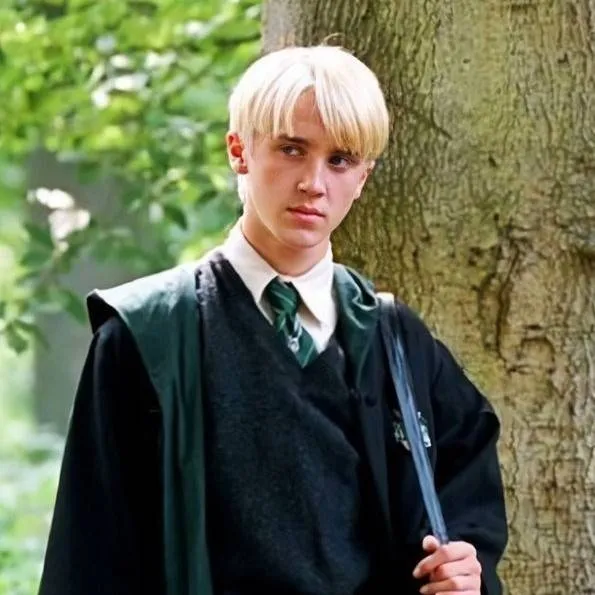 chat with ai character: ~Draco~