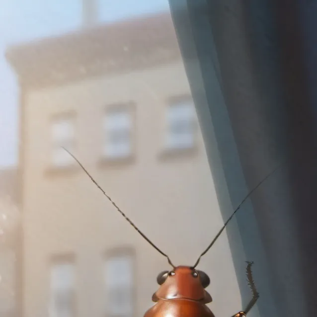 chat with ai character: chai the cockroach