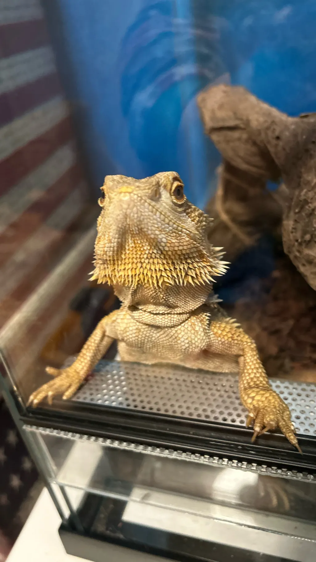 Talkie AI - Chat with Kratos 