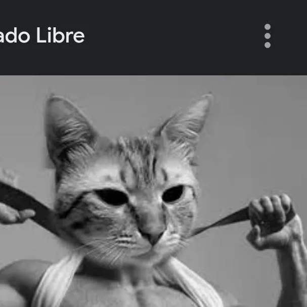 chat with ai character: Gato mamado