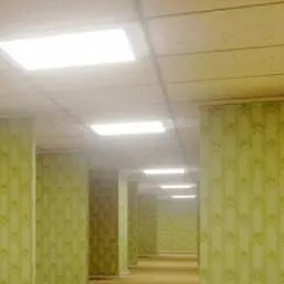 chat with ai character: los backrooms