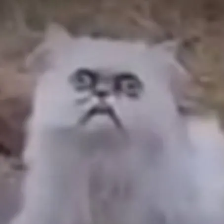 chat with ai character: tu adorable gatito