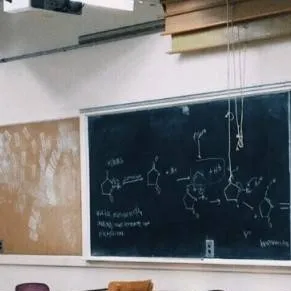 chat with ai character: school