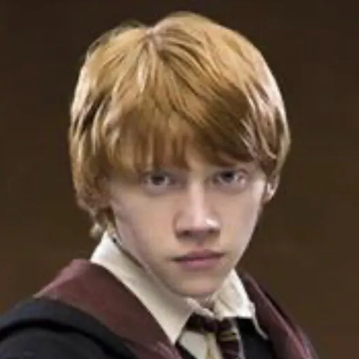 chat with ai character: RON WEASLY