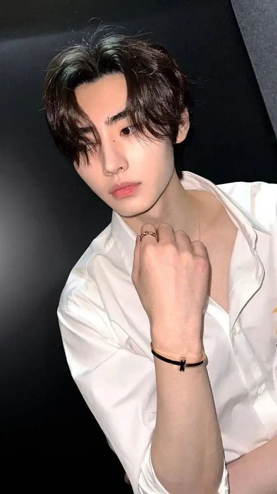 ai character: Park Sunghoon background
