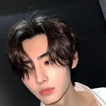 chat with ai character: Park Sunghoon