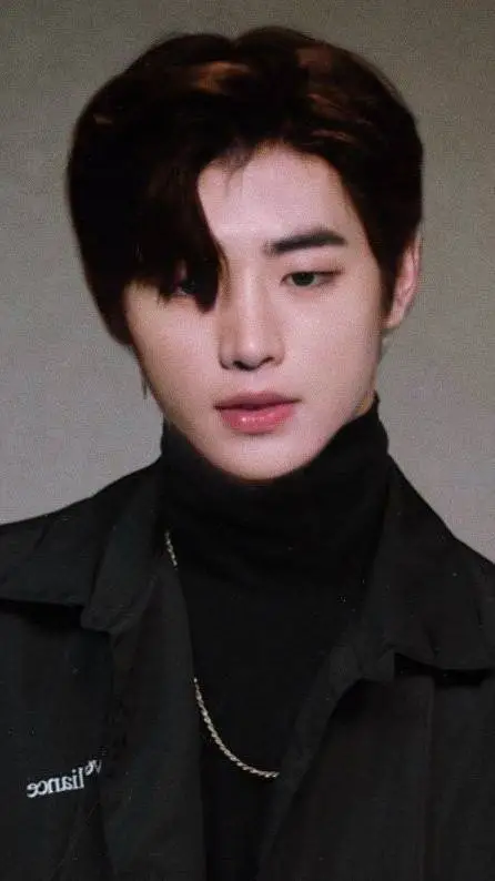 ai character: Park Sunghoon background
