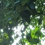 chat with ai character: ☆Story☆