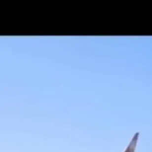 chat with ai character: air Canada 147