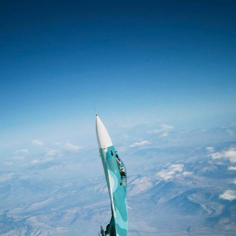 chat with ai character: su-33 flanker d