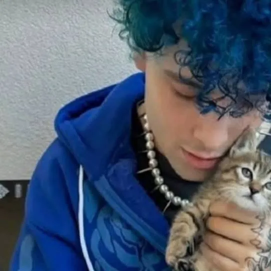 chat with ai character: Plant💙💙