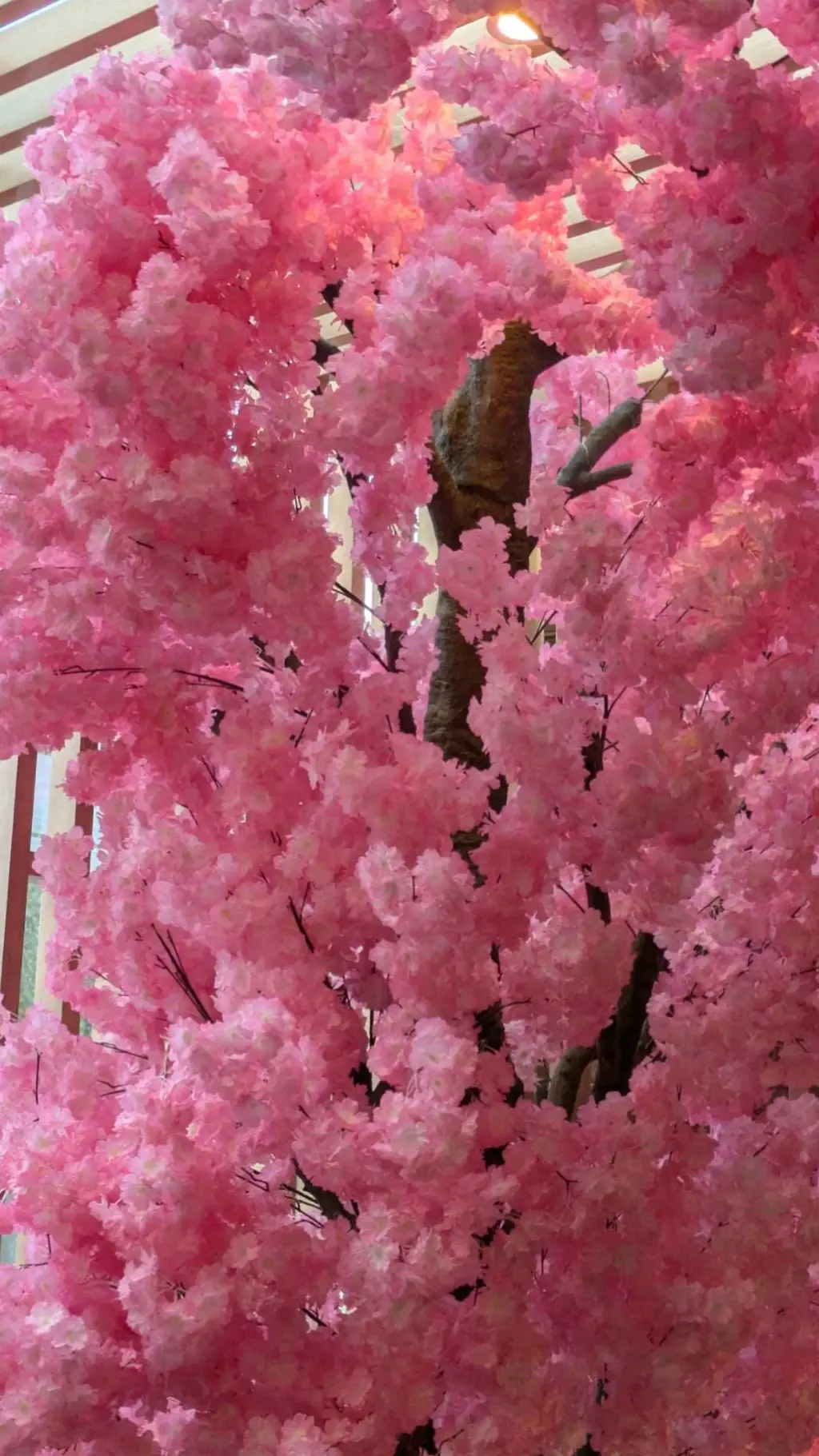 ai character: yandre boy background