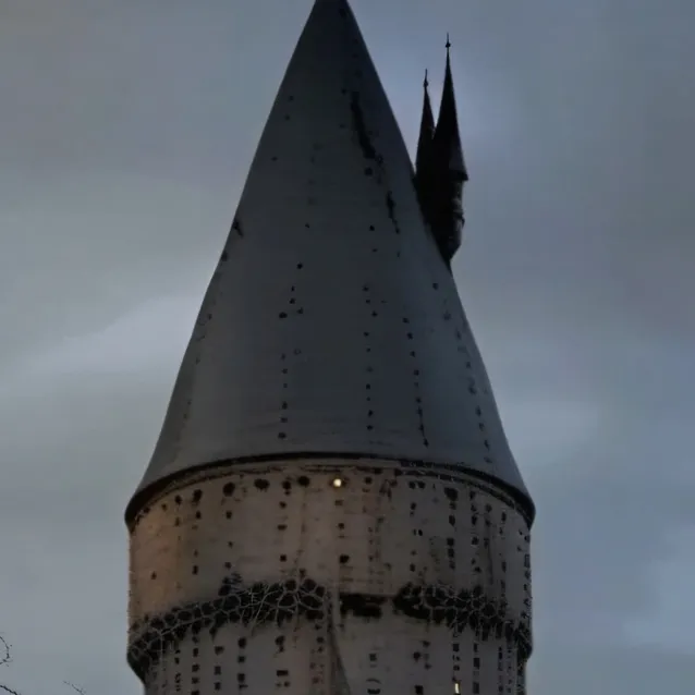 chat with ai character: Hoggy Hogwartssss