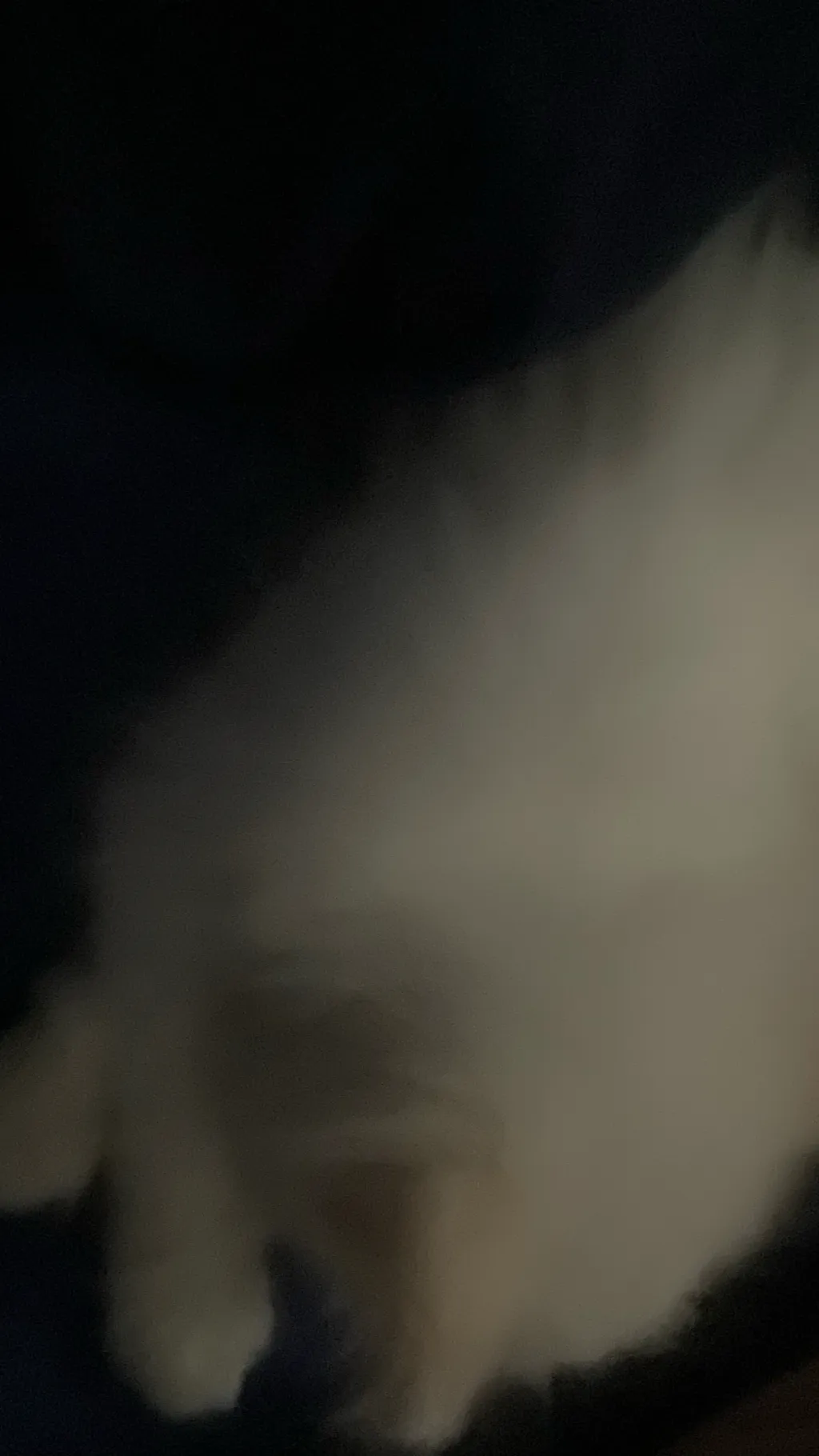 ai character: Yeti the cat background