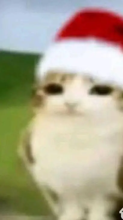 ai character: Pijama y ships!  background