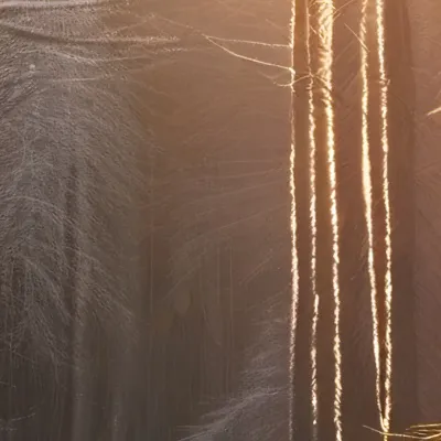 chat with ai character: Mha