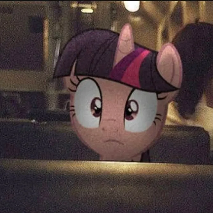 chat with ai character: Twilight Sparkle 