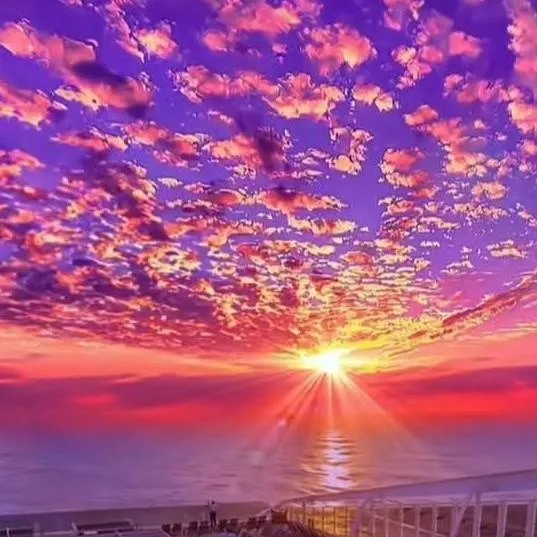 chat with ai character: 4 shedletsky 