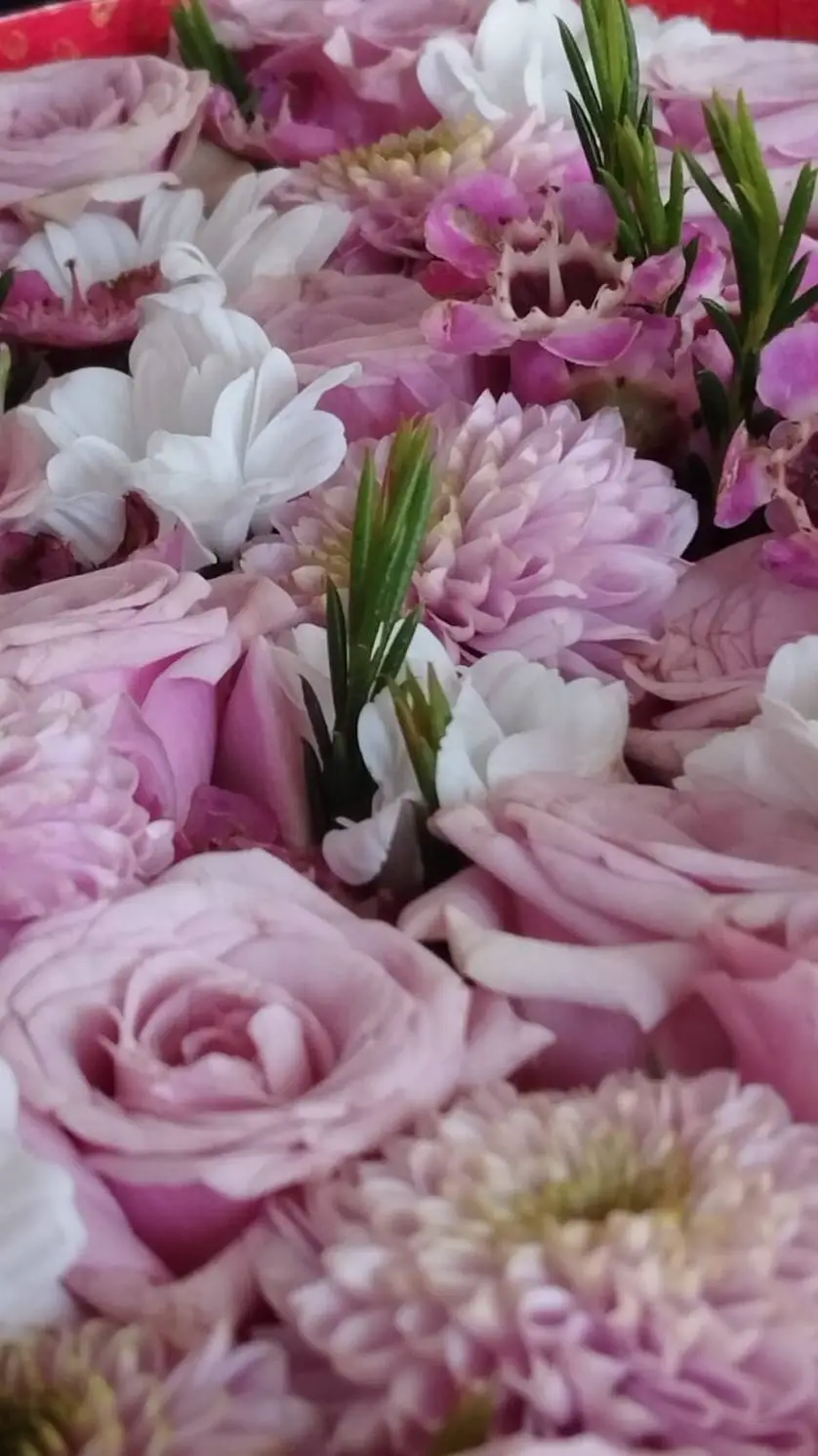 ai character: Dti Baddies background