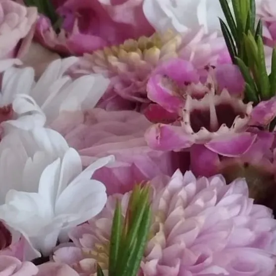 chat with ai character: Dti Baddies