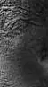 Talkie AI - Chat with Doors X SCP 