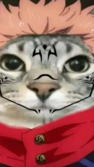 ai character: sukuna gato  background