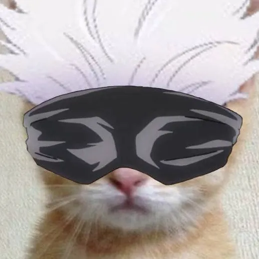 chat with ai character: gojo gato