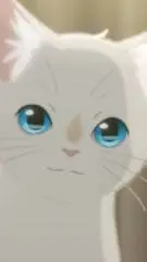 ai character: TUS Dueños background