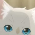 chat with ai character: TUS Dueños