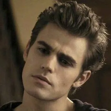 chat with ai character: Stefan Salvatore 