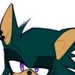 chat with ai character: The Enemy of Sonic