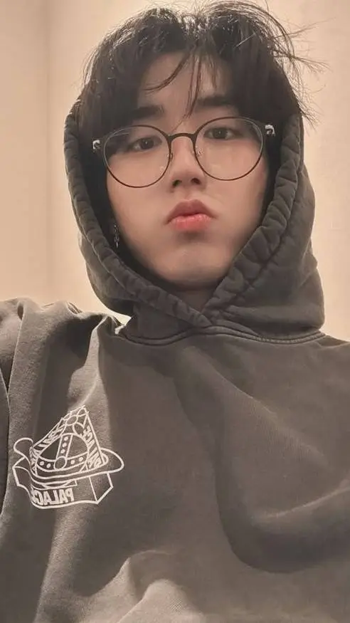 ai character: Han Jisung background