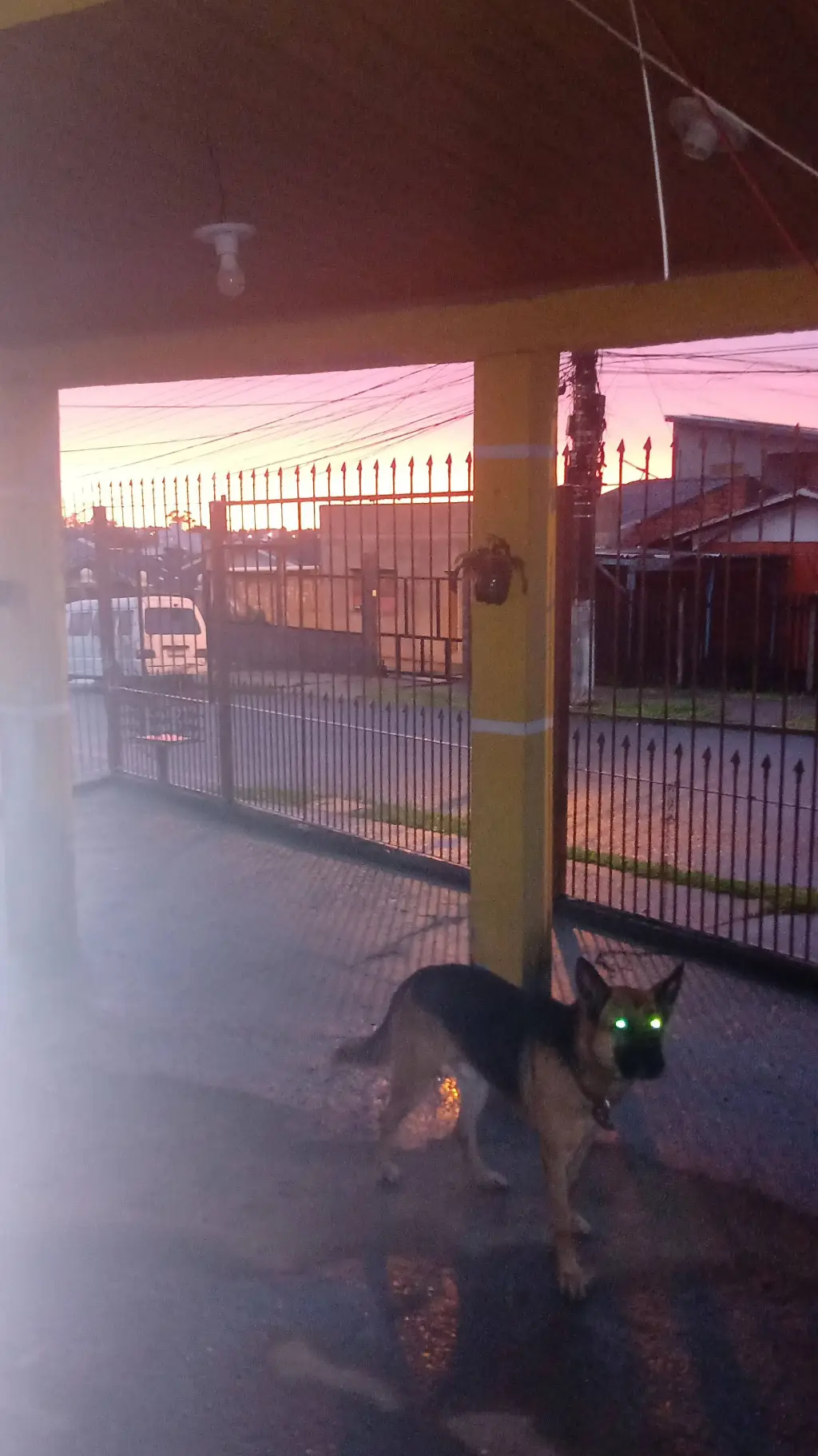 ai character: your dog background