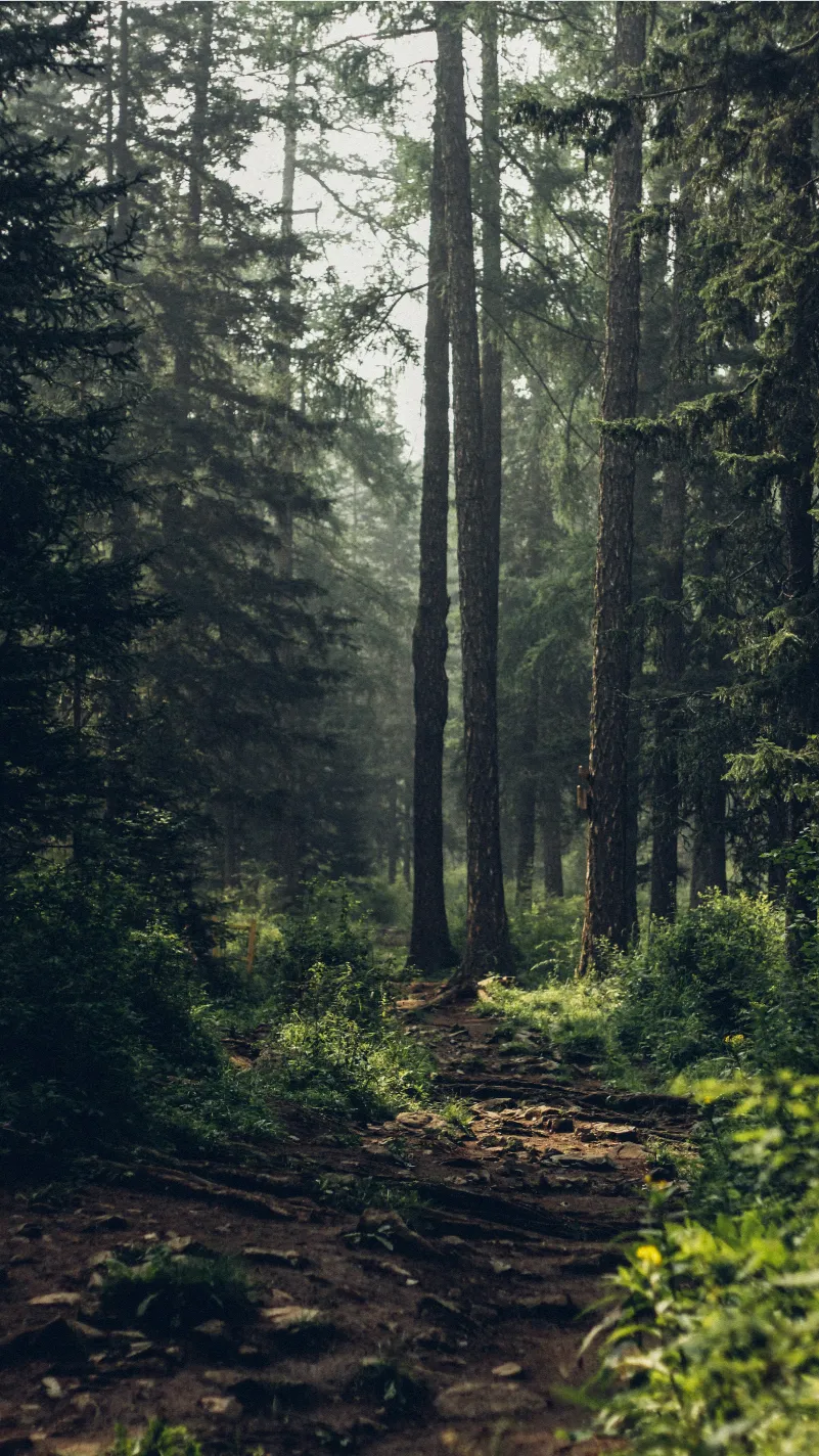 ai character: Au background