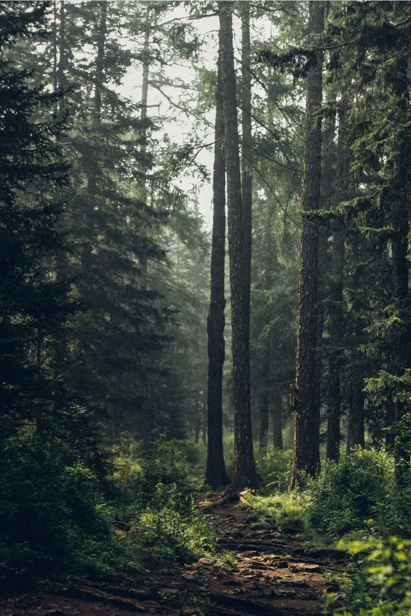 chat with ai character: Au