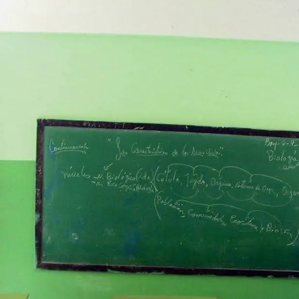 chat with ai character: escuela 