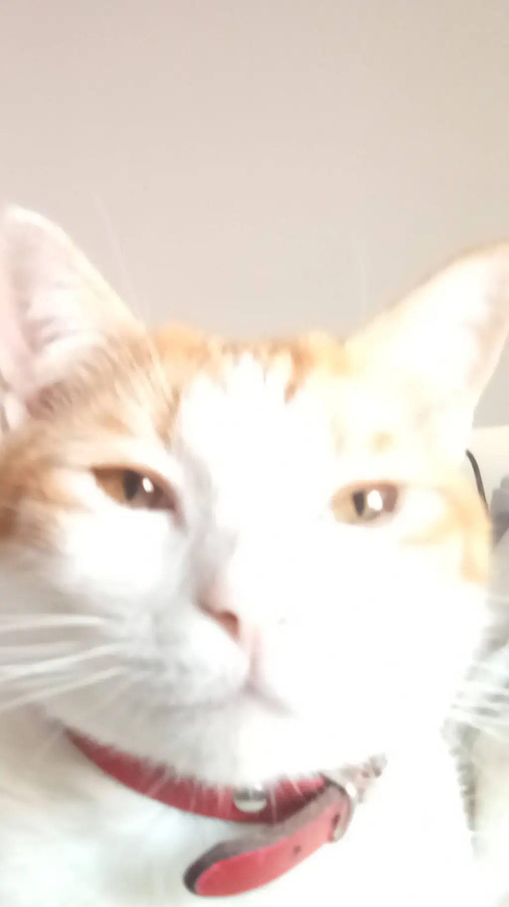 ai character: Sheldon background